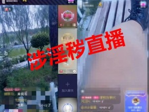 男同志 china 免费播放网站：直播淫秽视频，平台已被关停