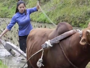 女人与牛做爰视频，真实模拟现场，带给你前所未有的视觉体验