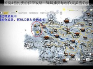 孤岛惊魂4雪豹皮的获取攻略：详解捕捉与制作完美雪豹皮指南