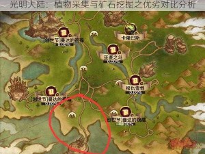 光明大陆：植物采集与矿石挖掘之优劣对比分析