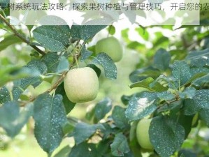 全民农场果树系统玩法攻略：探索果树种植与管理技巧，开启您的农场繁荣之旅