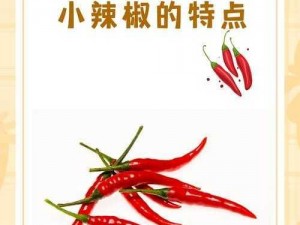 成品大香伊煮与小辣椒-成品大香伊煮与小辣椒：口感与营养的完美结合