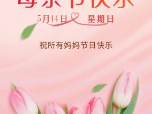 伟大的妈妈 1 至 15 节第五节：带来温馨家庭的必备之选