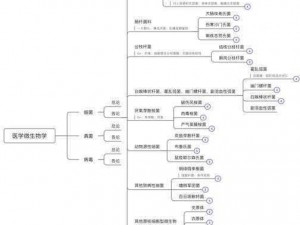 生物课老师拿自己做繁衍例子之产品介绍