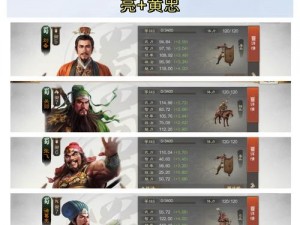 三国志战棋版武将快速升级攻略：武将能力提升与实战经验积累指引