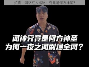 炫狗：网络红人揭秘：究竟是何方神圣？