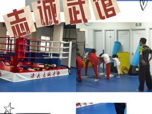 小小武馆全方位安装与顶级配置指南：打造专业武术教学场所