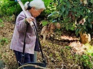 震惊农村老太竟做出这种事