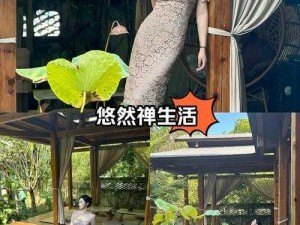 桃源深处有人家山居问禅版本更新公告：新版本更新补偿内容揭秘，桃源秘境再次迎来新惊喜