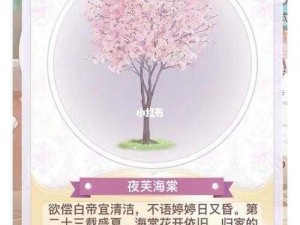 奇迹暖暖：剑类萤光之灵属性揭秘与顶配策略分析