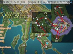 奥拉星红叶采集攻略：探寻最佳地点，掌握收集方法与技巧