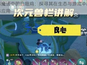 创造与魔法中的白翅鸡：探寻其在生态与游戏中的多重价值与应用