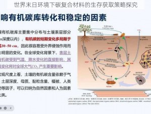 世界末日环境下碳复合材料的生存获取策略探究