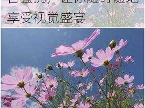 野花视频在线观看免费直播，高清画质，无广告骚扰，让你随时随地享受视觉盛宴