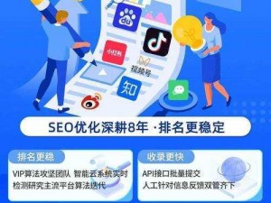 SEO 短视频网页入口：让你的视频营销更高效