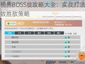 双生视界BOSS战攻略大全：实战打法指南与高效胜敌策略