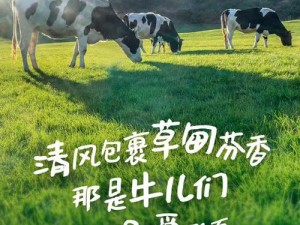 人马畜禽 companylimited 对外免费开放了高品质乳制品，源自天然牧场，无添加，更健康