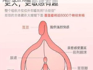 双性互攻+爽哭+玩弄+跪趴+调教，成人玩具，极致体验