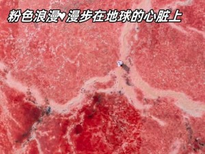 粉色视频黄版：一种可能的网络热点词汇