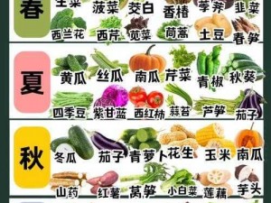 草莓樱桃丝瓜秋葵榴莲黄瓜大全——丰富口味，满足您的味蕾需求