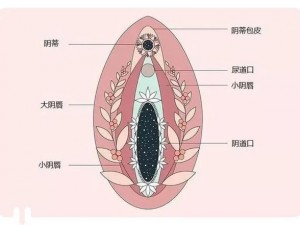 少妇水多 69XXX是一款成人情趣用品，使用后可以让你获得极致体验