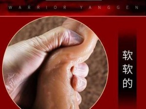 男 Gay 做受 XXXⅩ小鲜肉情趣用品震动棒