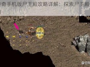 热血传奇手机版尸王殿攻略详解：探索尸王殿神秘路线指引