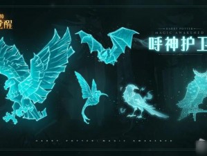 哈利波特魔法觉醒中的召唤魔法：实用召唤术大揭秘