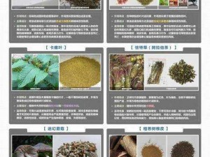 衡水二中女生抖音奶片是什么？是一种含有毒品成分的新型毒品