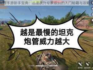 坦克连手游新手宝典：迅速跃升专家级别的入门秘籍与攻略大全