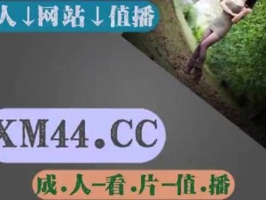 亚洲乱码无人区卡 1 卡 2 卡 3，适用于各种网络环境的高速稳定虚拟专用网络服务