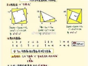 《长安盛世商贸指南：百万贯行商必读指南》