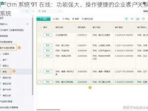 国产 crm 系统 91 在线：功能强大、操作便捷的企业客户关系管理系统