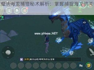 创造与魔法海龙捕猎秘术解析：掌握捕捉海龙的关键步骤与技巧