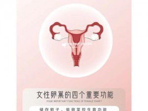 阿娇双腿扒干 13 分钟：女性私密处紧致护理液，让你更自信