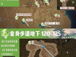 《原神探索之旅：折胫谷草神瞳位置全解析》