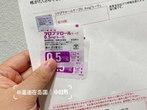 porefree 日本中国进口男女通用隐形毛孔贴