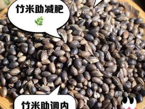 创新种植揭秘：竹米的多重魔法用途——竹米作用深度解析