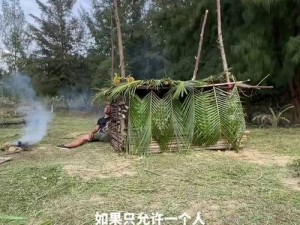 荒岛求生：掌握生存技巧，绝境中的求生之路如何走