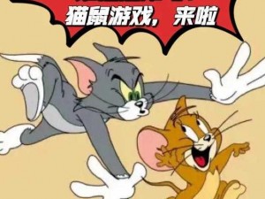 猫鼠之战：战队创建与加入规则详解