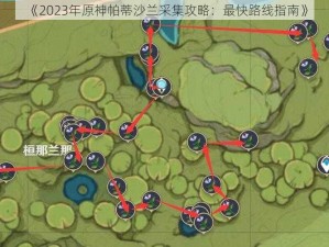 《2023年原神帕蒂沙兰采集攻略：最快路线指南》