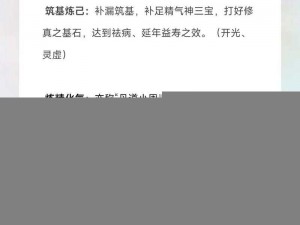 混搭修仙元婴成就概览：多元修炼体系下的境界突破与成长汇总