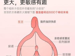 老头玩弄少妇 BBBBBBBBB，全新一代成人情趣玩具，带来极致刺激体验