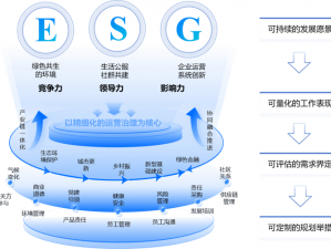 好公司市场步调的多维度影响因素探析