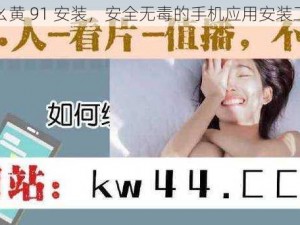 九幺黄 91 安装，安全无毒的手机应用安装工具