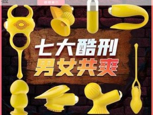 女体拷问所：独特的情趣用品，带来全新体验