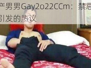 国产男男Gay2o22CCm：禁忌之爱引发的热议