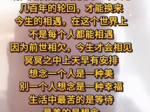 好男人直播在线观看社区：探寻真爱，邂逅缘分