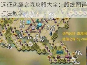 剑与远征迷霭之森攻略大全：路线图详解与高效打法教学