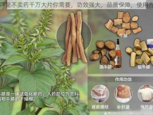 葫芦里不卖药千万大片你需要，功效强大，品质保障，使用方便